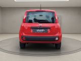 Fiat Panda bei Gebrauchtwagen.expert - Abbildung (10 / 15)