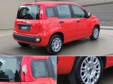 Fiat Panda bei Gebrauchtwagen.expert - Abbildung (8 / 15)