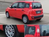 Fiat Panda bei Gebrauchtwagen.expert - Abbildung (11 / 15)