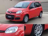 Fiat Panda bei Gebrauchtwagen.expert - Abbildung (3 / 15)