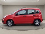Fiat Panda bei Gebrauchtwagen.expert - Abbildung (13 / 15)