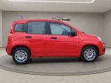 Fiat Panda bei Gebrauchtwagen.expert - Abbildung (7 / 15)