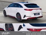 Kia Pro Ceed bei Gebrauchtwagen.expert - Abbildung (11 / 15)