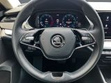 Skoda Octavia bei Gebrauchtwagen.expert - Abbildung (12 / 15)
