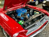 Ford Mustang bei Gebrauchtwagen.expert - Abbildung (15 / 15) Ford Mustang bei Gebrauchtwagen.expert - Abbildung (15 / 15)