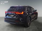 Lexus NX bei Gebrauchtwagen.expert - Abbildung (6 / 15)