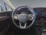 Lexus NX bei Gebrauchtwagen.expert - Abbildung (13 / 15)