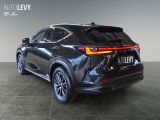 Lexus NX bei Gebrauchtwagen.expert - Abbildung (4 / 15)