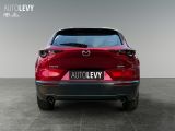 Mazda CX-30 bei Gebrauchtwagen.expert - Abbildung (5 / 15)