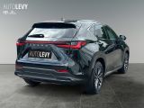 Lexus NX bei Gebrauchtwagen.expert - Abbildung (6 / 15)