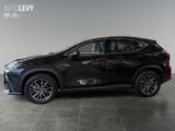 Lexus NX bei Gebrauchtwagen.expert - Abbildung (3 / 15)