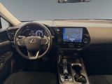 Lexus NX bei Gebrauchtwagen.expert - Abbildung (11 / 15)