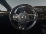 Lexus ES bei Gebrauchtwagen.expert - Abbildung (13 / 15)