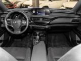 Lexus UX bei Gebrauchtwagen.expert - Abbildung (4 / 10)
