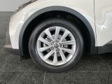 Toyota C-HR bei Gebrauchtwagen.expert - Abbildung (10 / 15)
