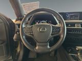Lexus UX bei Gebrauchtwagen.expert - Abbildung (13 / 15)
