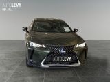 Lexus UX bei Gebrauchtwagen.expert - Abbildung (9 / 15)