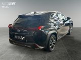 Lexus UX bei Gebrauchtwagen.expert - Abbildung (6 / 15)
