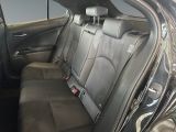 Lexus UX bei Gebrauchtwagen.expert - Abbildung (14 / 15)