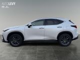 Lexus NX bei Gebrauchtwagen.expert - Abbildung (3 / 15) Lexus NX bei Gebrauchtwagen.expert - Abbildung (3 / 15)