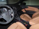 Opel Cascada bei Gebrauchtwagen.expert - Abbildung (15 / 15)