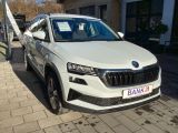 Skoda Karoq bei Gebrauchtwagen.expert - Abbildung (3 / 15)