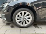 Skoda Octavia bei Gebrauchtwagen.expert - Abbildung (6 / 15) Skoda Octavia bei Gebrauchtwagen.expert - Abbildung (6 / 15)