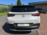Opel Grandland X bei Gebrauchtwagen.expert - Abbildung (6 / 15)