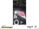 Kia EV6 bei Gebrauchtwagen.expert - Abbildung (15 / 15)