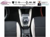 Nissan Micra bei Gebrauchtwagen.expert - Abbildung (14 / 15)
