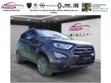 Ford EcoSport bei Gebrauchtwagen.expert - Abbildung (3 / 15)