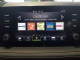 Skoda Fabia bei Gebrauchtwagen.expert - Abbildung (10 / 15)