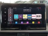 Seat Tarraco bei Gebrauchtwagen.expert - Abbildung (10 / 15)