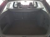 Skoda Octavia bei Gebrauchtwagen.expert - Abbildung (15 / 15)