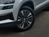 Skoda Karoq bei Gebrauchtwagen.expert - Abbildung (7 / 15)