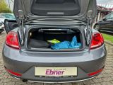 VW Beetle bei Gebrauchtwagen.expert - Abbildung (13 / 15)