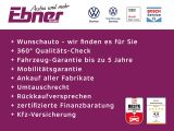 VW Tiguan bei Gebrauchtwagen.expert - Abbildung (5 / 6)