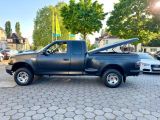 Ford F bei Gebrauchtwagen.expert - Abbildung (14 / 15)