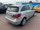 Mercedes-Benz B-Klasse bei Gebrauchtwagen.expert - Abbildung (3 / 15)
