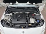 Mercedes-Benz B-Klasse bei Gebrauchtwagen.expert - Abbildung (6 / 15)