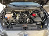 Ford Focus bei Gebrauchtwagen.expert - Abbildung (13 / 15)