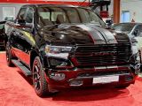 Dodge RAM bei Gebrauchtwagen.expert - Abbildung (15 / 15)