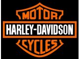Harley-Davidson Sportster bei Gebrauchtwagen.expert - Abbildung (9 / 15)