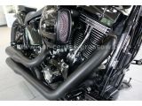 Harley-Davidson Fat Boy bei Gebrauchtwagen.expert - Abbildung (2 / 15)