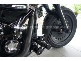 Harley-Davidson Fat Boy bei Gebrauchtwagen.expert - Abbildung (9 / 15)