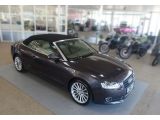 Audi A5 Cabriolet bei Gebrauchtwagen.expert - Abbildung (3 / 15)