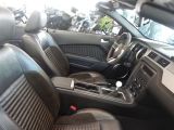 Ford Mustang bei Gebrauchtwagen.expert - Abbildung (15 / 15)