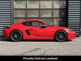 Porsche Cayman bei Gebrauchtwagen.expert - Abbildung (7 / 15)