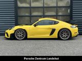 Porsche Cayman bei Gebrauchtwagen.expert - Abbildung (3 / 15)