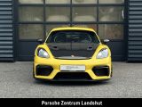 Porsche Cayman bei Gebrauchtwagen.expert - Abbildung (9 / 15)